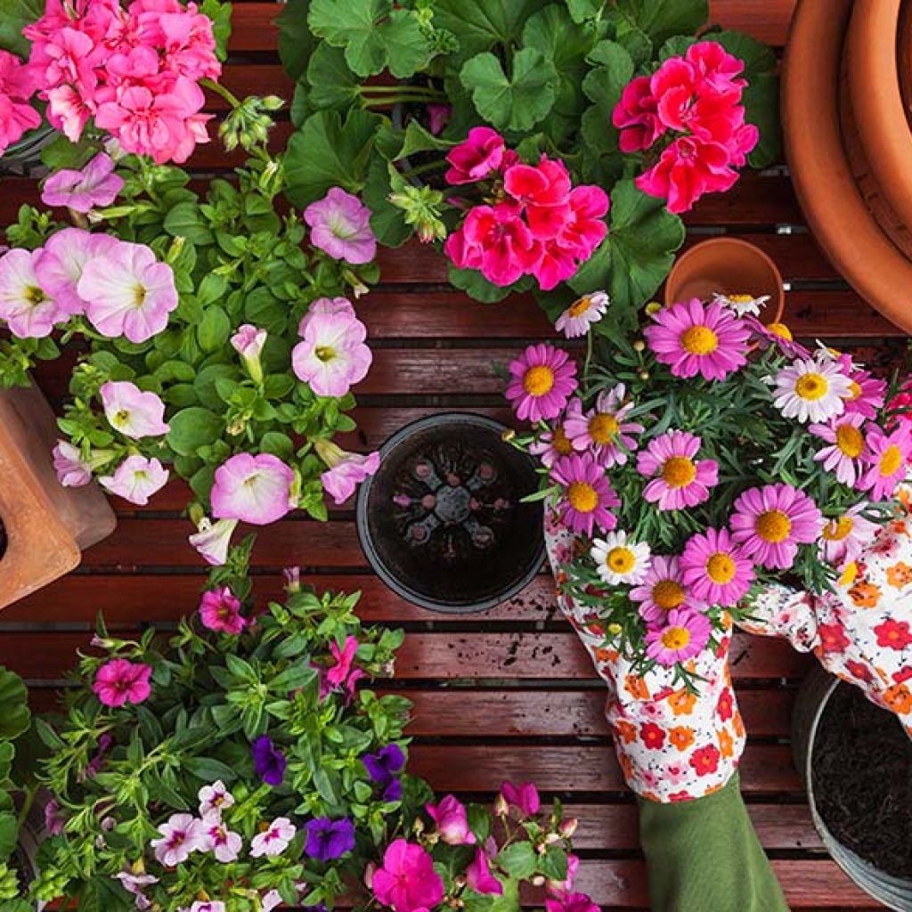 Sabías que la jardinería ayuda a mejorar tu salud mental