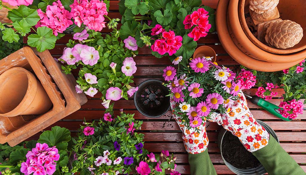 Sabías que la jardinería ayuda a mejorar tu salud mental