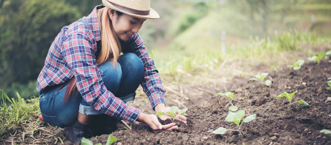 Preparar el suelo para sembrar hortalizas