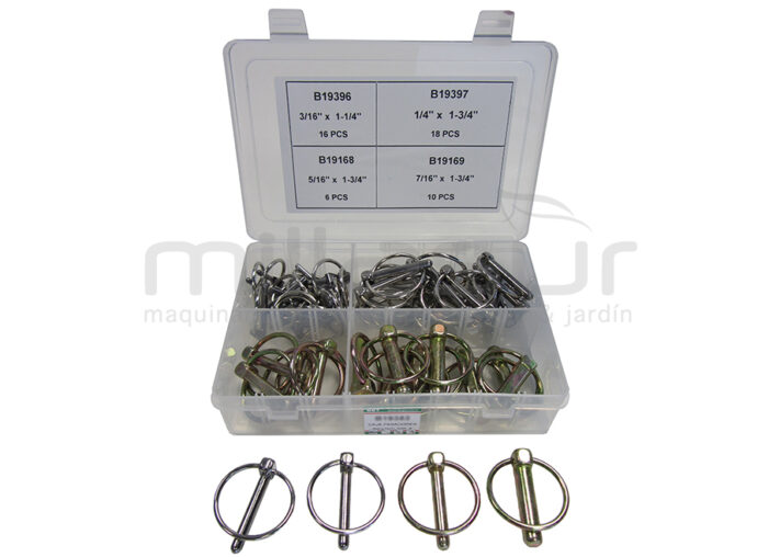 CAJA PASADORES (50 PCS)