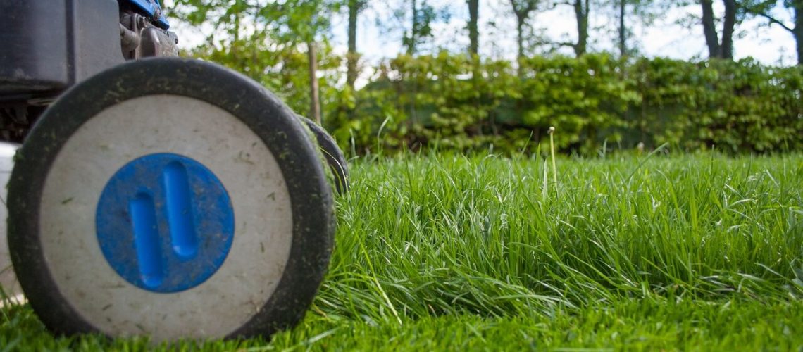 Consejos para elegir la mejor cortacésped